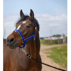 Caveção Equithème Nylon light Azul royal