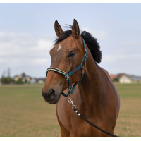 Caveção Equithème Nylon Chevron Verde escuro
