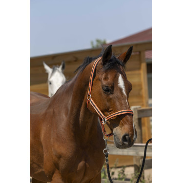 Caveção Norton Satine Coral / preto Vermelho