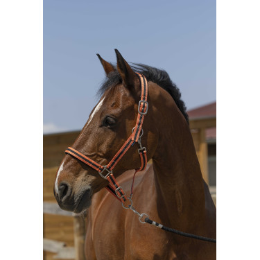 Caveção Norton Satine Coral / preto Vermelho