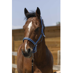 Caveção Norton Satine Azul céu / preto