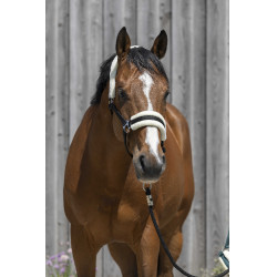 Cabeçada Riding World com lã sintética Preto Cabeçada Riding World com lã sintética Preto