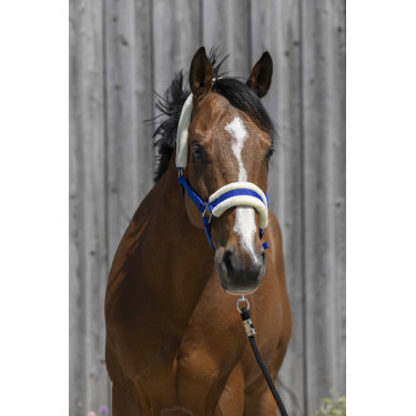 Cabeçada Riding World com lã sintética Azul royal