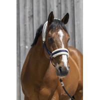 Cabeçada Riding World com lã sintética Azul-marinho