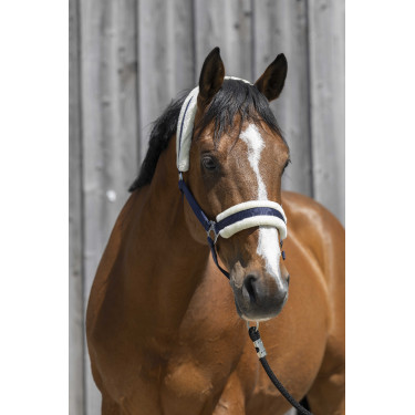Cabeçada Riding World com lã sintética Azul-marinho