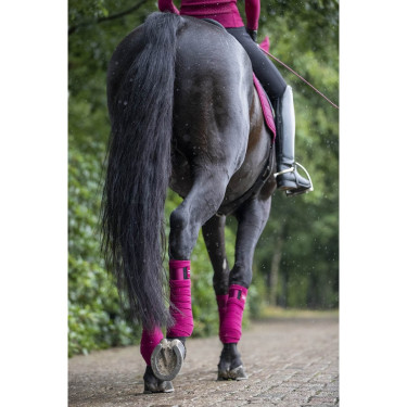 Bandagens de polo Loire LeMieux Amora Bordô Bandagens de polo Loire LeMieux Amora Bordô