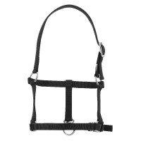 Cabresto potro Riding World Preto Cabresto potro Riding World Preto
