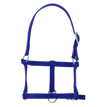 Cabresto potro Riding World Azul royal