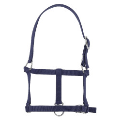 Cabresto potro Riding World Azul-marinho