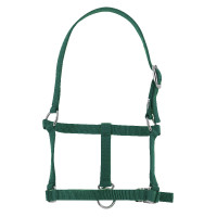 Cabresto potro Riding World Verde escuro