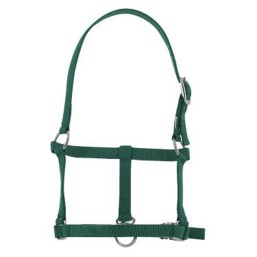 Cabresto potro Riding World Verde escuro