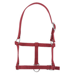 Cabresto potro Riding World Bordéus Bordô Cabresto potro Riding World Bordéus Bordô