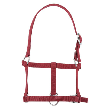 Cabresto potro Riding World Bordéus Bordô Cabresto potro Riding World Bordéus Bordô