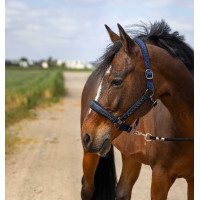 Caveção Equithème Nylon Strass Preto