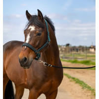 Caveção Equithème Nylon Strass Verde Caveção Equithème Nylon Strass Verde