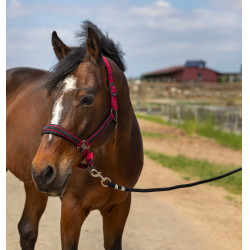 Caveção Equithème Nylon Strass Bordéus Bordô Caveção Equithème Nylon Strass Bordéus Bordô