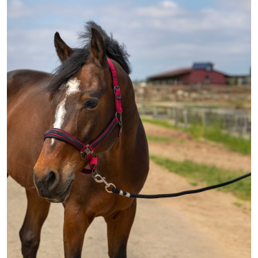 Caveção Equithème Nylon Strass Bordéus Bordô Caveção Equithème Nylon Strass Bordéus Bordô