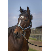 Cabeçada Norton Nylon Soft Verde escuro Cabeçada Norton Nylon Soft Verde escuro