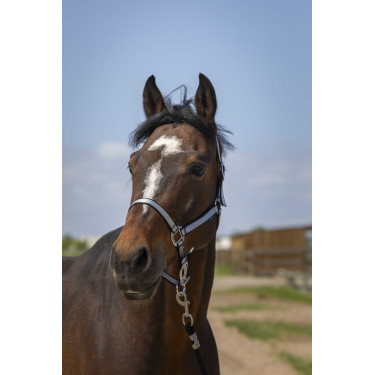 Cabeçada Norton Nylon Soft Preto