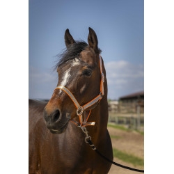 Cabeçada Norton Nylon Soft Laranja