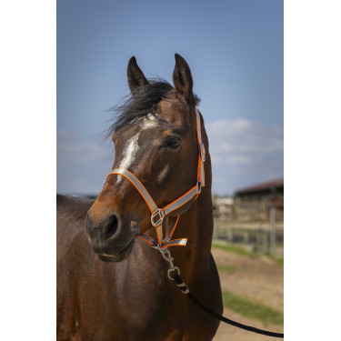 Cabeçada Norton Nylon Soft Laranja