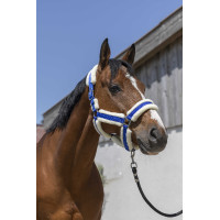 Caveção Norton Cosy Azul royal