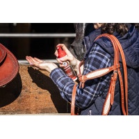 Espuma para couro Leovet