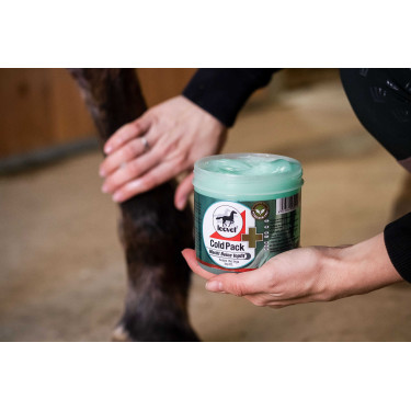 Gel Refrescante Leovet