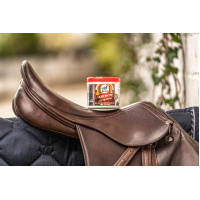 Bálsamo para couro Leovet