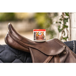 Bálsamo para couro Leovet