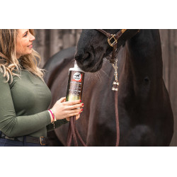 Alimento complementar Leovet Elixir Brônquios xarope Alimento complementar Leovet Elixir Brônquios xarope