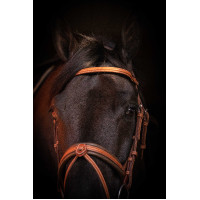 Bridão Pénélope Elegância Conhaque Castanho Bridão Pénélope Elegância Conhaque Castanho