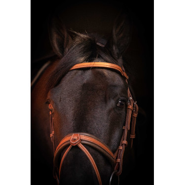 Bridão Pénélope Elegância Conhaque Castanho Bridão Pénélope Elegância Conhaque Castanho