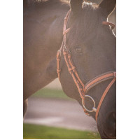 Bridão Pénélope Elegância Conhaque Castanho Bridão Pénélope Elegância Conhaque Castanho