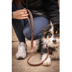 Deixa cão Pénélope Rubber Havana Castanho