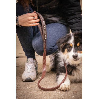 Deixa cão Pénélope Rubber Havana Castanho