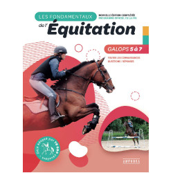 Os fundamentos Galopes 5 a 7