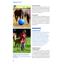 Comportamentos e posturas