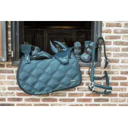 Guérréias e protetores de boleto Lami-Cell Aurora Azul