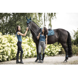 Guérréias e protetores de boleto Lami-Cell Aurora Azul