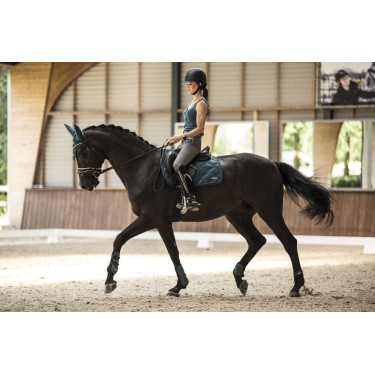 Guérréias e protetores de boleto Lami-Cell Aurora Azul