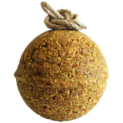 Alimento complementar Unika Elyte