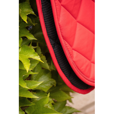 Tapete Paddock Sports Prems Vermelho