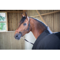 Camisa Paddock Sports Light Mesh Preto