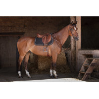 Peitoral Eric Thomas Hybrid Havana Castanho Peitoral Eric Thomas Hybrid Havana Castanho