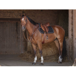 Peitoral Eric Thomas Hybrid Havana Castanho