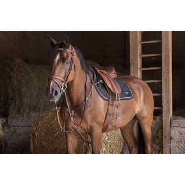 Peitoral Eric Thomas Hybrid Havana Castanho