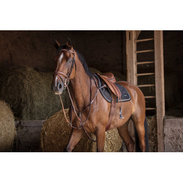 Peitoral Eric Thomas Hybrid Havana Castanho