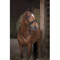 Rendas Norton Pro 16 mm Preto