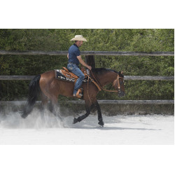 Sela Westride por Franck Perret Aurora Avelã Castanho Sela Westride por Franck Perret Aurora Avelã Castanho